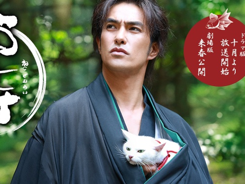 Foto 3 de samurai cat