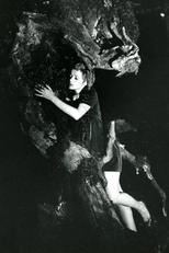 Les rendez-vous en forêt (Les rendez-vous en forêt)