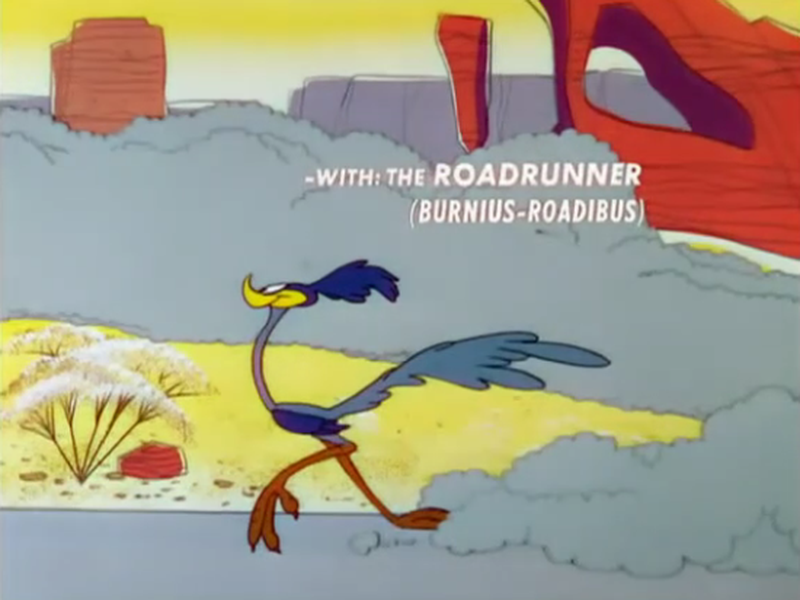 Foto 2 de Usando Novos Inventos