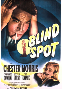 Blind Spot (Blind Spot)