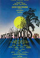 Into The Woods: Broadway Musical (Into The Woods: Broadway Musical)