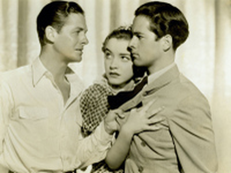 Foto 2 de Cumpra-se a Lei