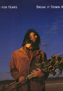 Tears for Fears: Break It Down Again (Tears for Fears: Break It Down Again)