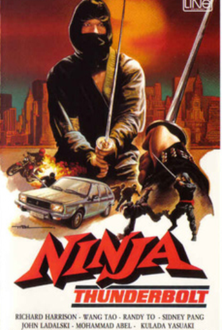 Poster 1 de Filme Ninja Thunderbolt (1985)