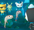 The Cookiecutter Sharks