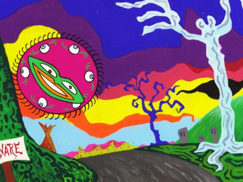 Foto 3 de Face Like a Frog