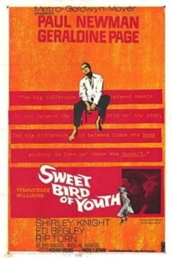  de Filme O Doce Pássaro da Juventude (1962)