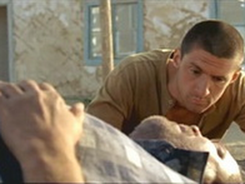 Foto 3 de Dikoe pole    ( Wild Field )