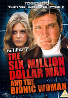 A Volta do Homem de Seis Milhões de Dólares e da Mulher Biônica (The return of the six million dollar man and the bionic woman)