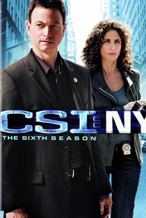 CSI: Nova Iorque (6ª temporada) - Poster / Capa / Cartaz - Oficial 1
