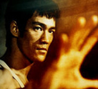 Bruce Lee: Em Suas Próprias Palavras