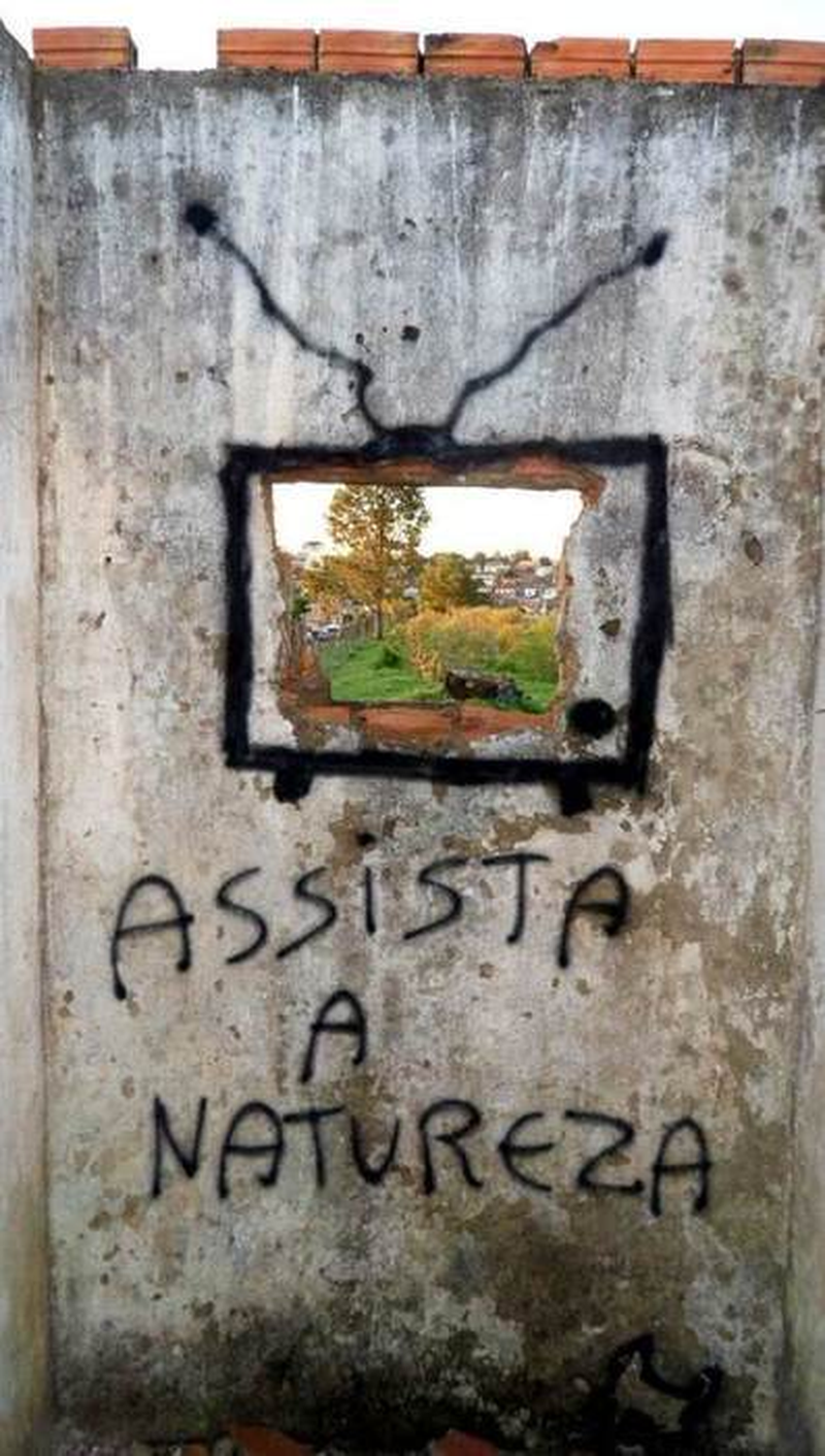 Diego Ruas - Foto 3