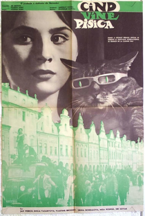 Um Dia, Um Gato - Poster / Capa / Cartaz - Oficial 3
