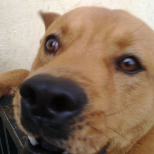 Foto de perfil de Aron
