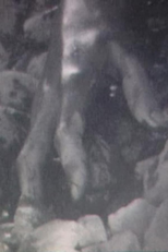 Extase de chair brisée (Extase de chair brisée)