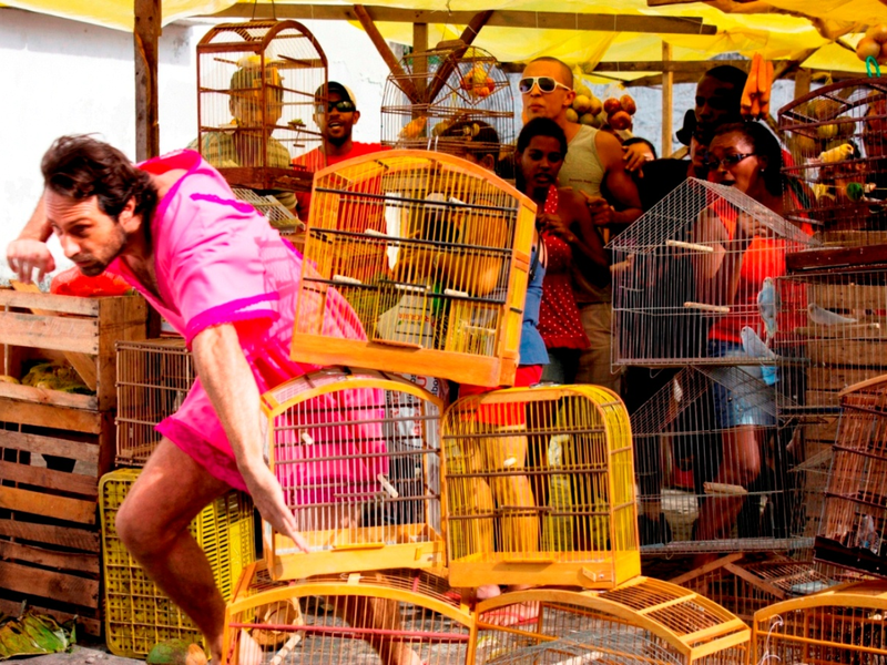 Foto 2 de O Milagre dos Pássaros