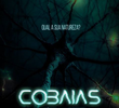 Cobaias
