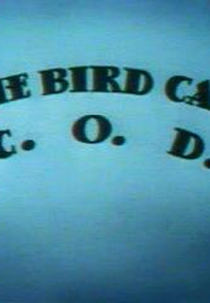 The Bird Came C.O.D. (The Bird Came C.O.D.)