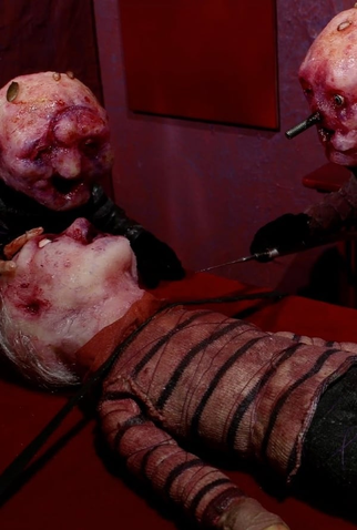 Poster 1 de Curta D is for Deloused (2014)