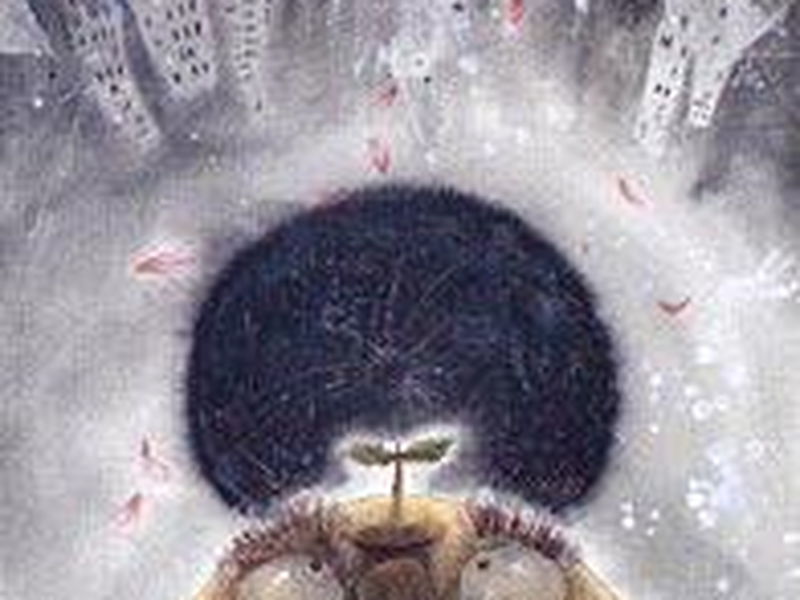 Foto 1 de Monte Cabeça