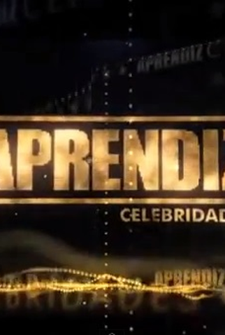 Poster 1 de TV Aprendiz Celebridades (2014)