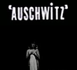 Auschwitz
