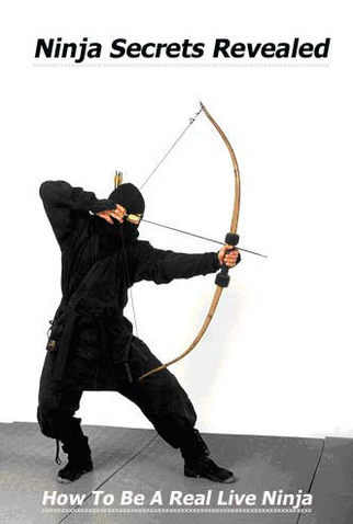 Poster 1 de Curta Ninja Bombs (2005)