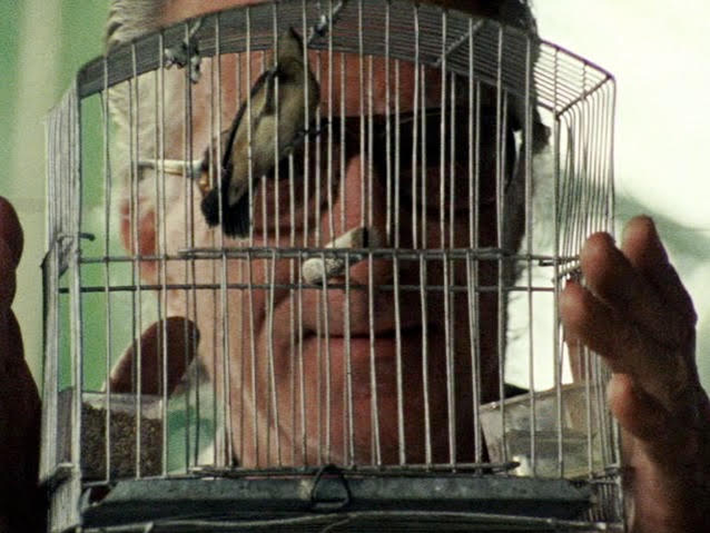 Foto 1 de O Alquimista do Som