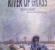 River of Grass