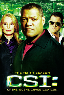 CSI: Investigação Criminal (10ª Temporada) - Poster / Capa / Cartaz - Oficial 1