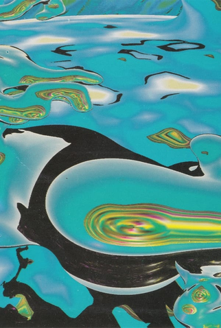 Poster 1 de Curta Flora (1989)