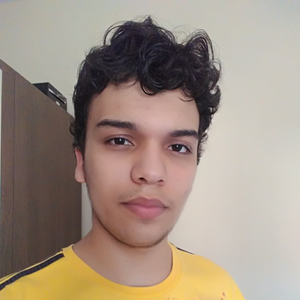 Foto de perfil de Henrique
