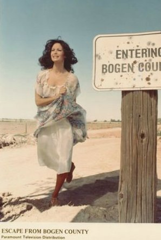 Poster 1 de Filme A Fuga do Condado de Bogen (1977)