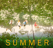 Summer in the Forest