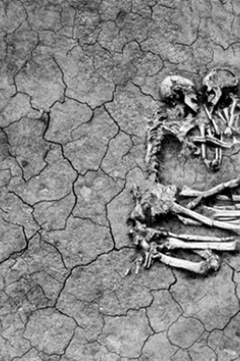 Poster de Curta Século (2011)