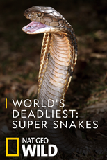As Cobras Mais Perigosas do Mundo (World's Deadliest: Super Snakes)