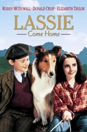 Lassie - A Força do Coração