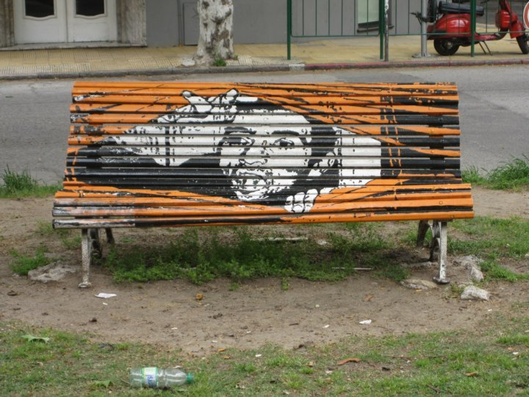 Pedro Silva - Foto 6