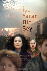 Something Useful (Ise yarar bir sey)