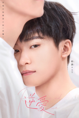 Poster 7 de Série Revenged Love (2025)