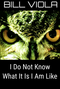 I Do Not Know What It Is I Am Like - Poster / Capa / Cartaz - Oficial 1