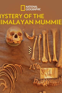 Os Mistérios das Múmias Himalaias - Poster / Capa / Cartaz - Oficial 1