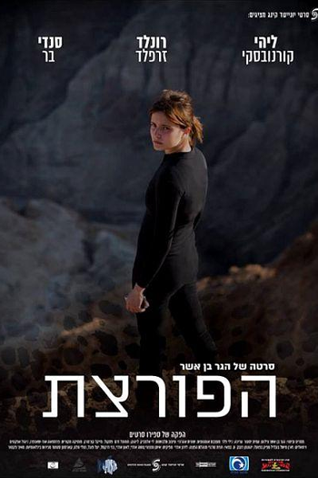 Poster de Filme The Burglar (2016)