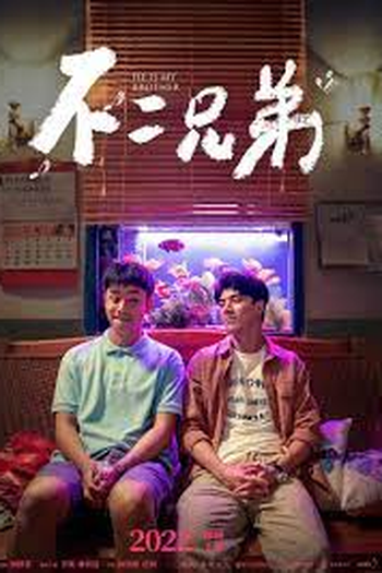 Poster de Filme Irmãos (2023)