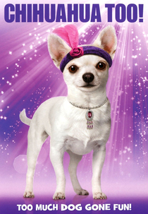 Chiuaua também! (Chihuahua Too!)