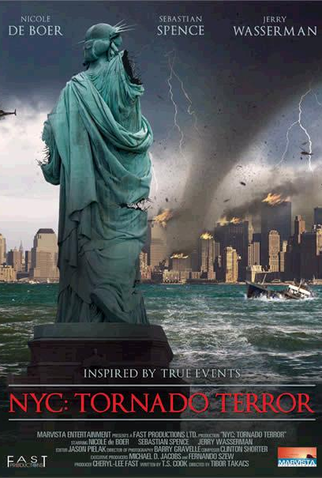 Poster 1 de Filme NYC Tornado Terror (2008)