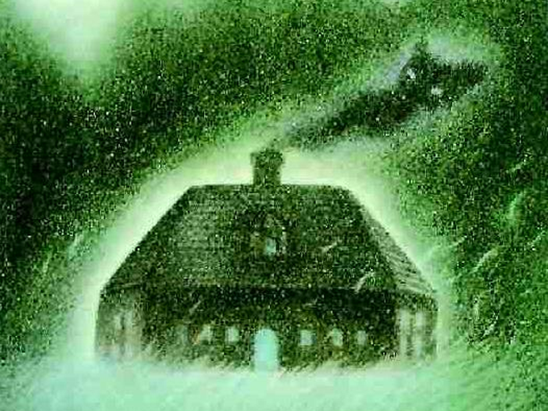 Foto 1 de Chuumon no Ooi Ryouriten