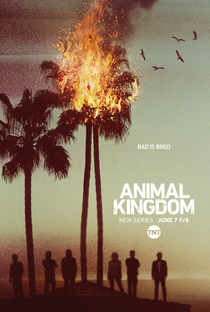 Animal Kingdom (1ª Temporada) - Poster / Capa / Cartaz - Oficial 1