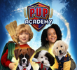 Pup Academy