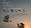 H is For Hawk